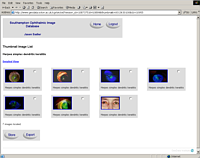 Project image