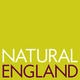 NE Logo