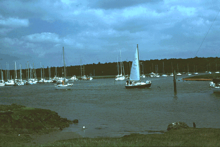image4